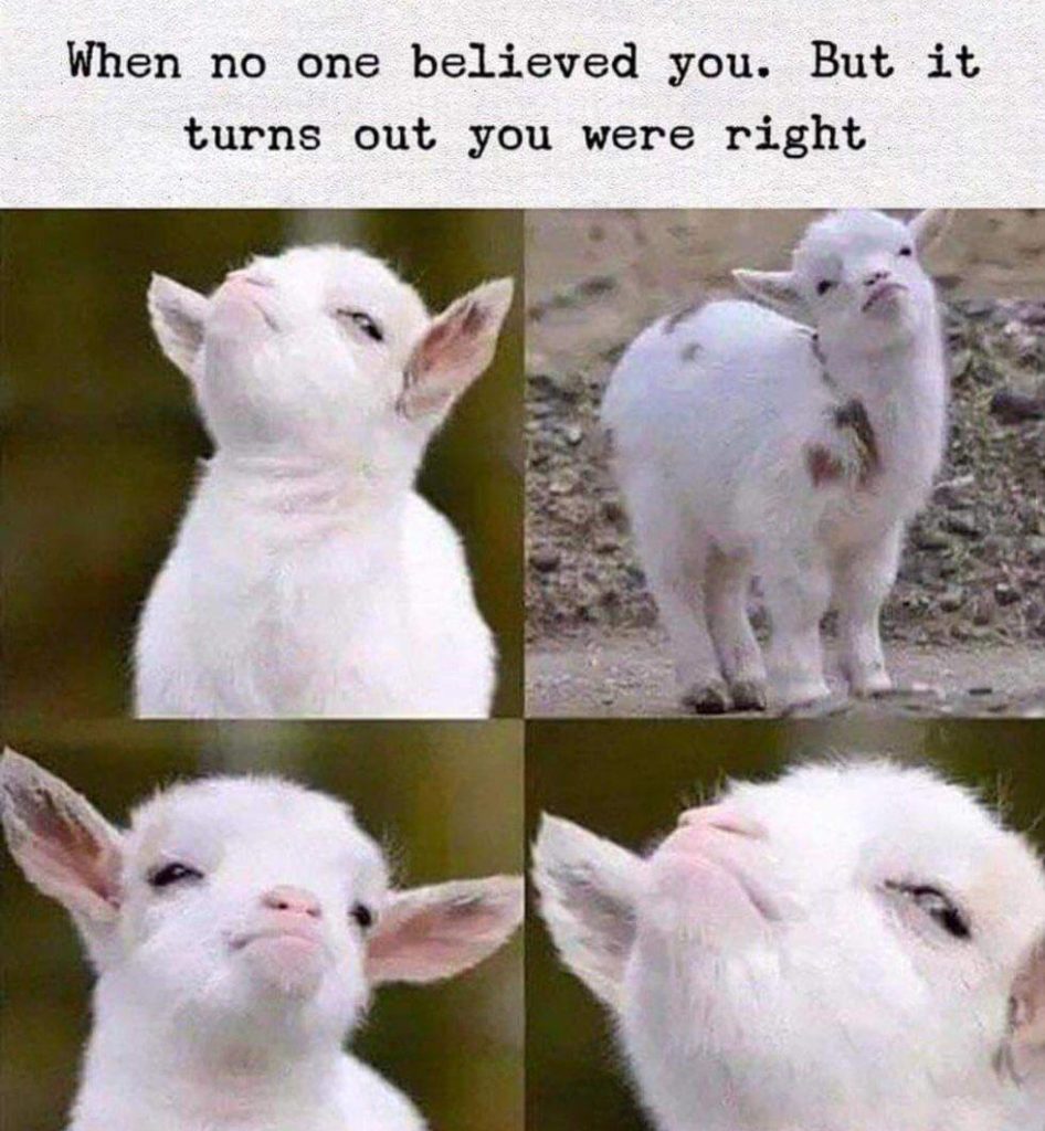 Meme: When no one believed you. But it turns out you were right.